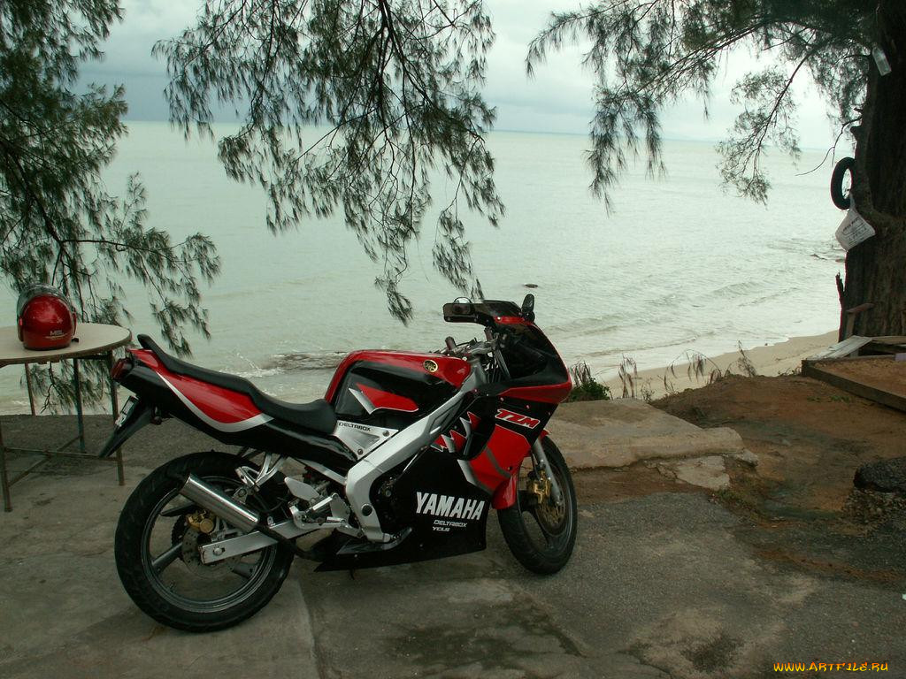 , yamaha